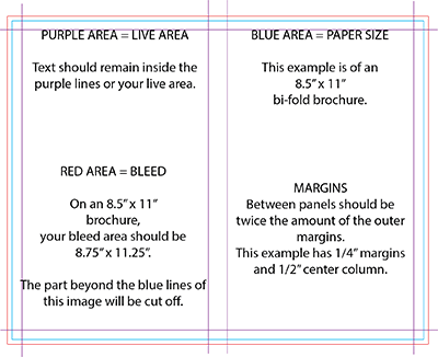 brochure-margins