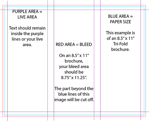 brochure-margins